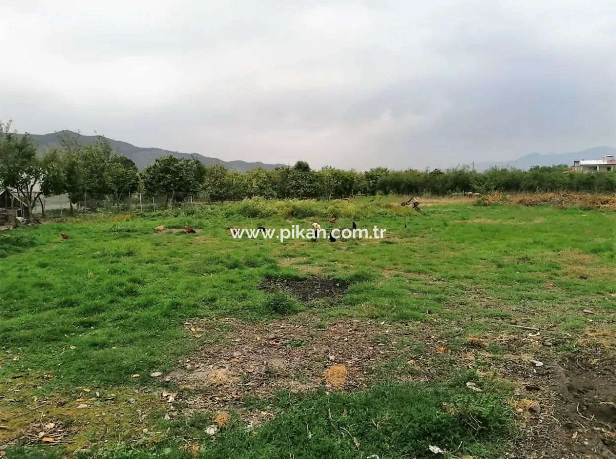 2.571M2 Grundstück Zum Verkauf In Ortaca Güzelyurt Dorf Bebautes Gebiet, Geeignet Für Investitionen