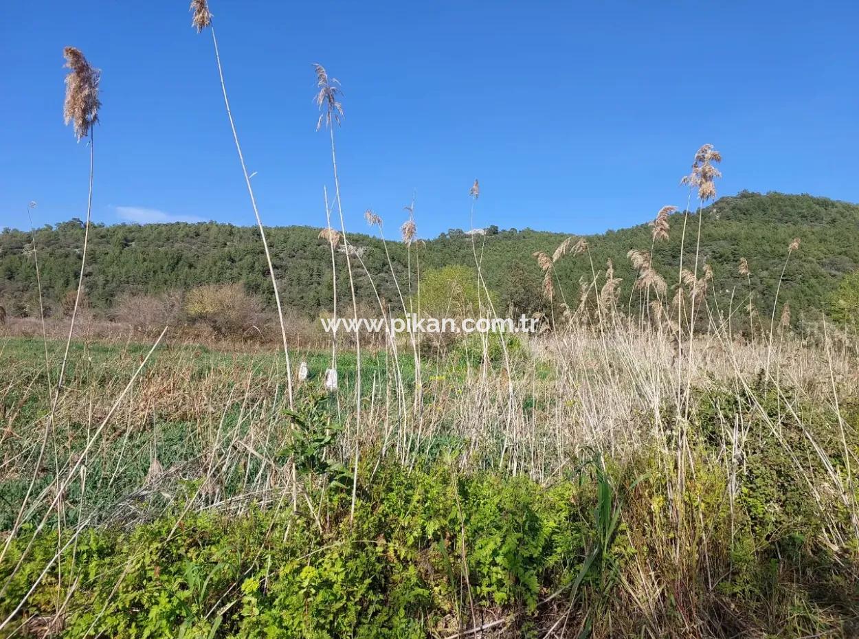 Fruchtbares 6.350 M2 Land Zum Verkauf In Muğla Ortaca Güzelyurt