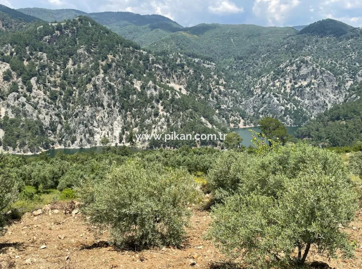 Dalaman, 500M2 Auf Der Seite Des Bozbel-Staudamms