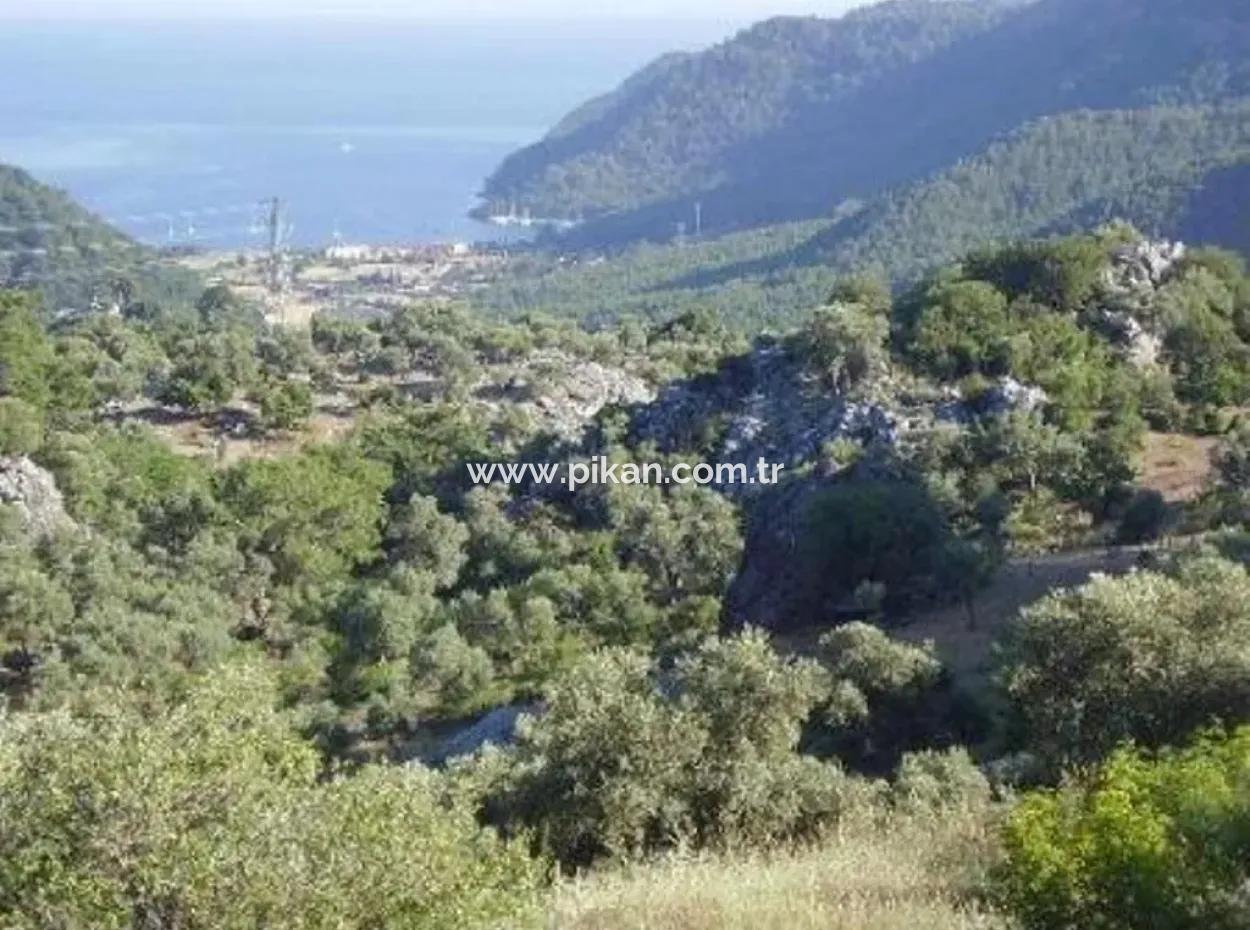 12.926 N2 Meerblick Grundstück Zum Verkauf In Köyceğiz Ekincik