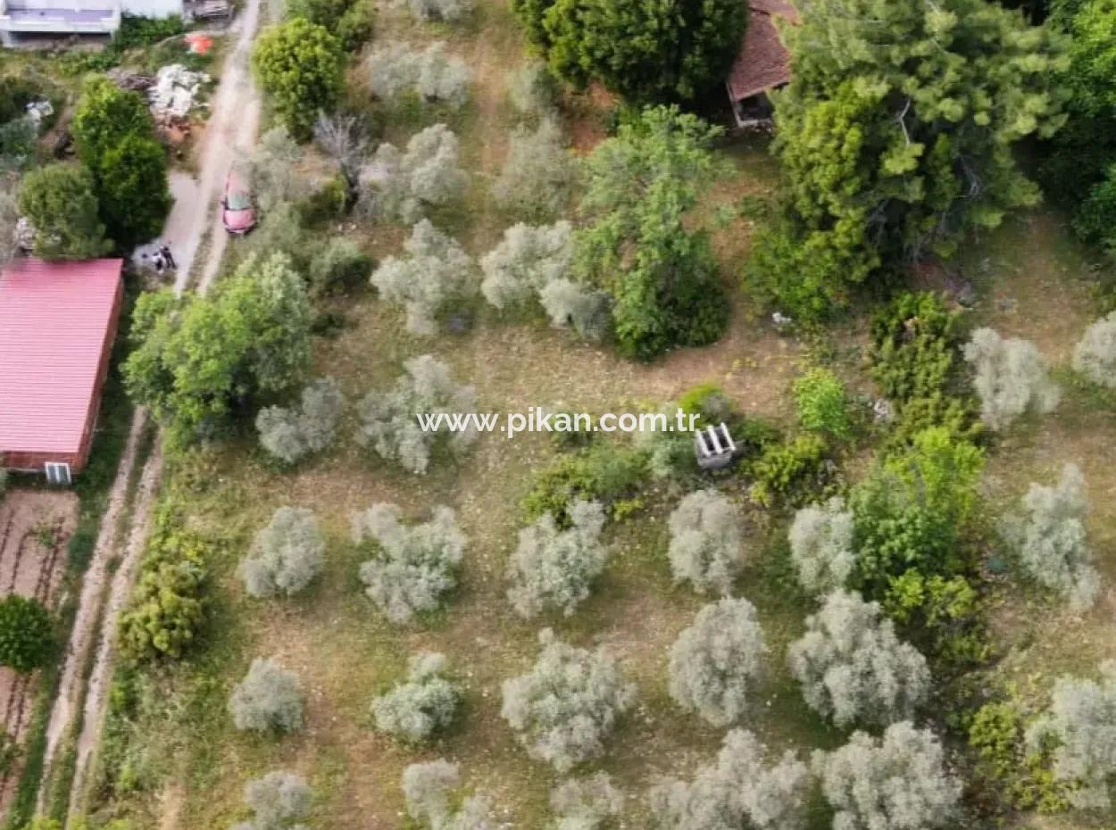 1228 M2 Grundstück Und Kargir Haus Zu Verkaufen In Muğla Menteşe Yaraş, Dorf In Dorf.   