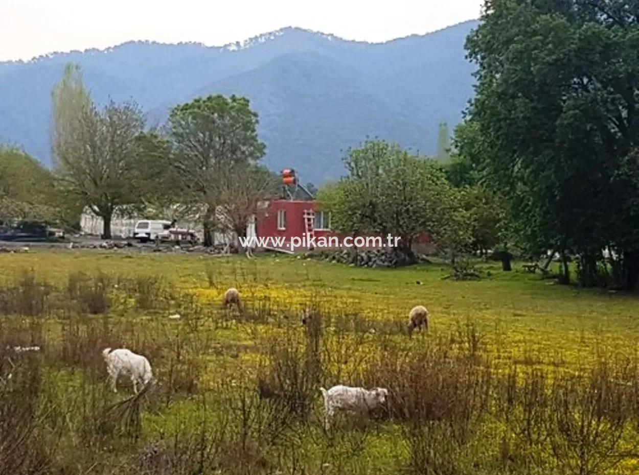 3 577 M2 Land Geeignet Für Nullinvestitionen An Der Hauptstraße Dalyan In Muğla Ortaca Okçular