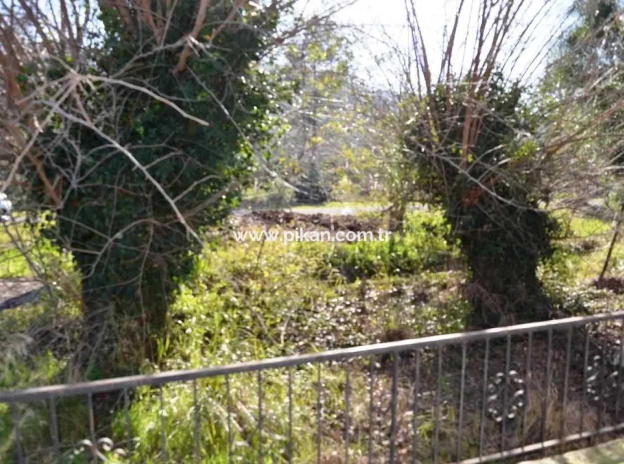 Dorf Haus Zum Verkauf In Orange Grove Und Beyoba