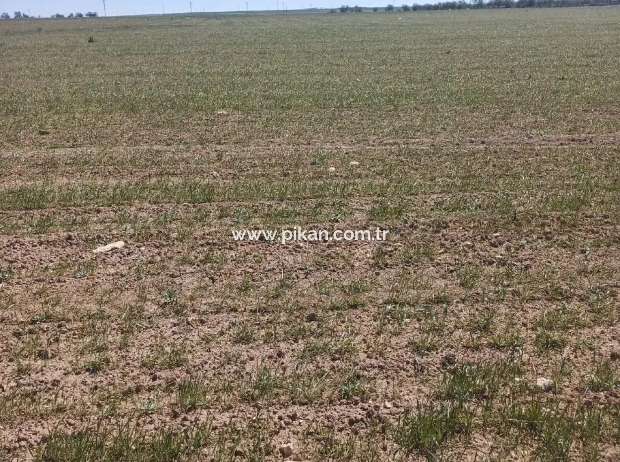 Konya Kadinhani Baskuyu 650.000 M2 Schnäppchenland Zum Verkauf