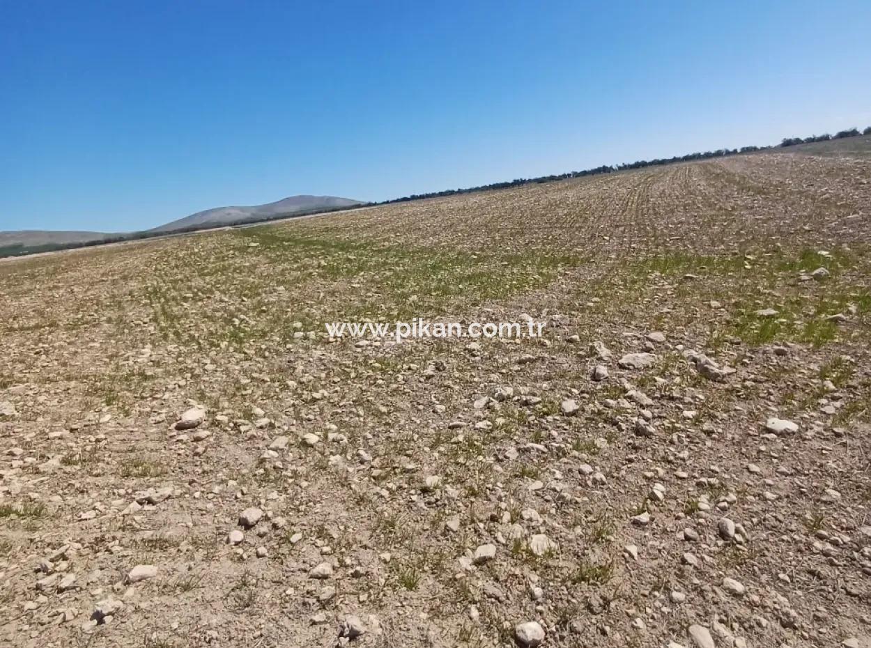 Konya Kadinhani Baskuyu 650.000 M2 Schnäppchenland Zum Verkauf