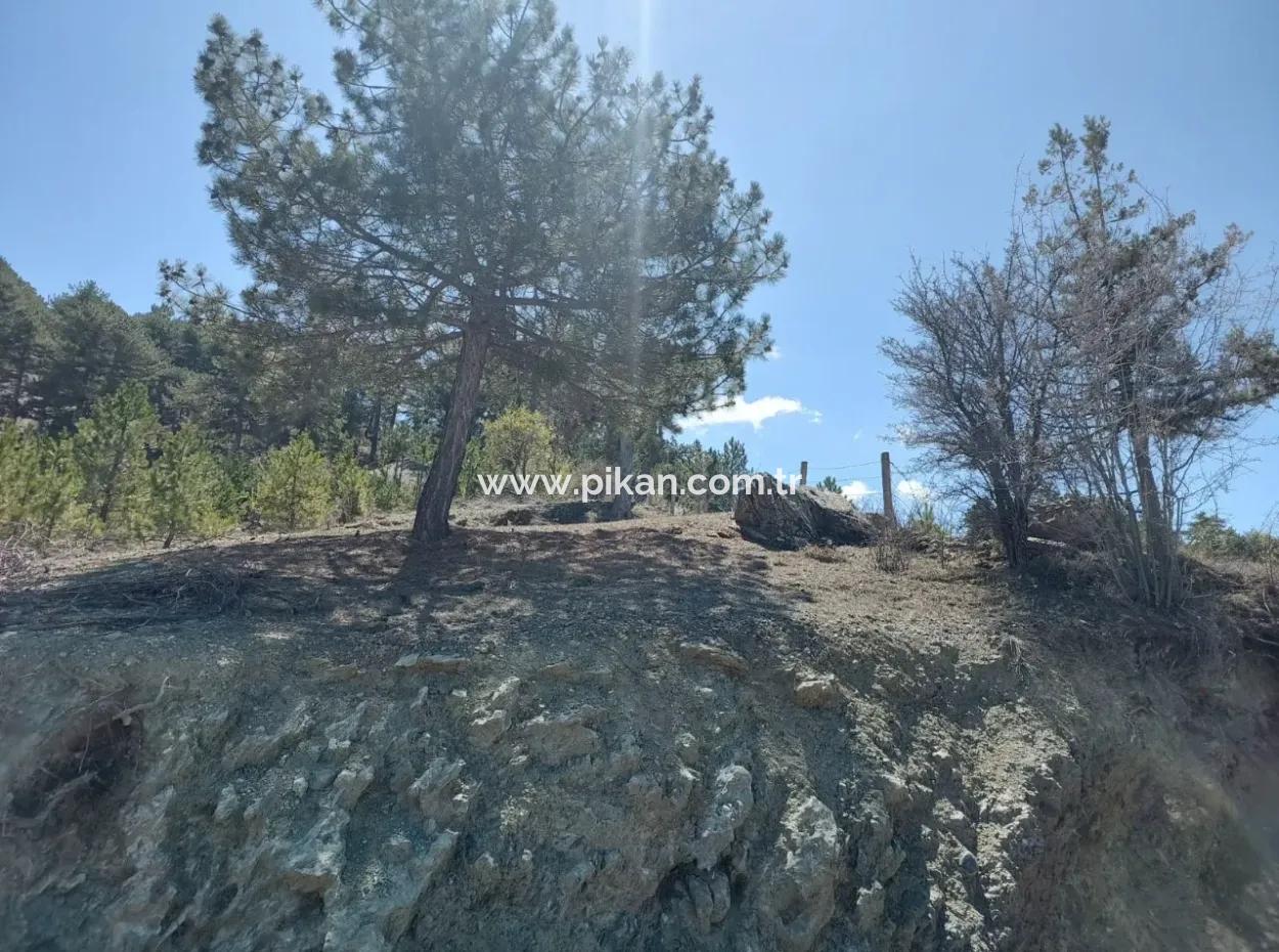Schnäppchengrundstück Zum Verkauf In Çameli Gökçeyaka 1 844 M2 Freistehendes Grundstück Zum Verkauf.