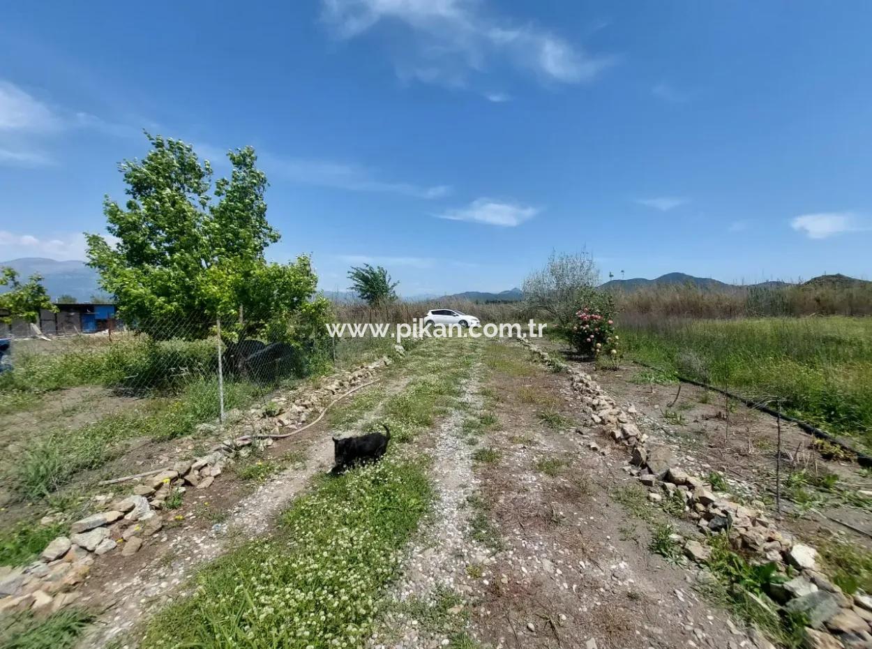 Einfamilienhaus Und Grundstück Zum Verkauf In Muğla Ortaca Tepearası
