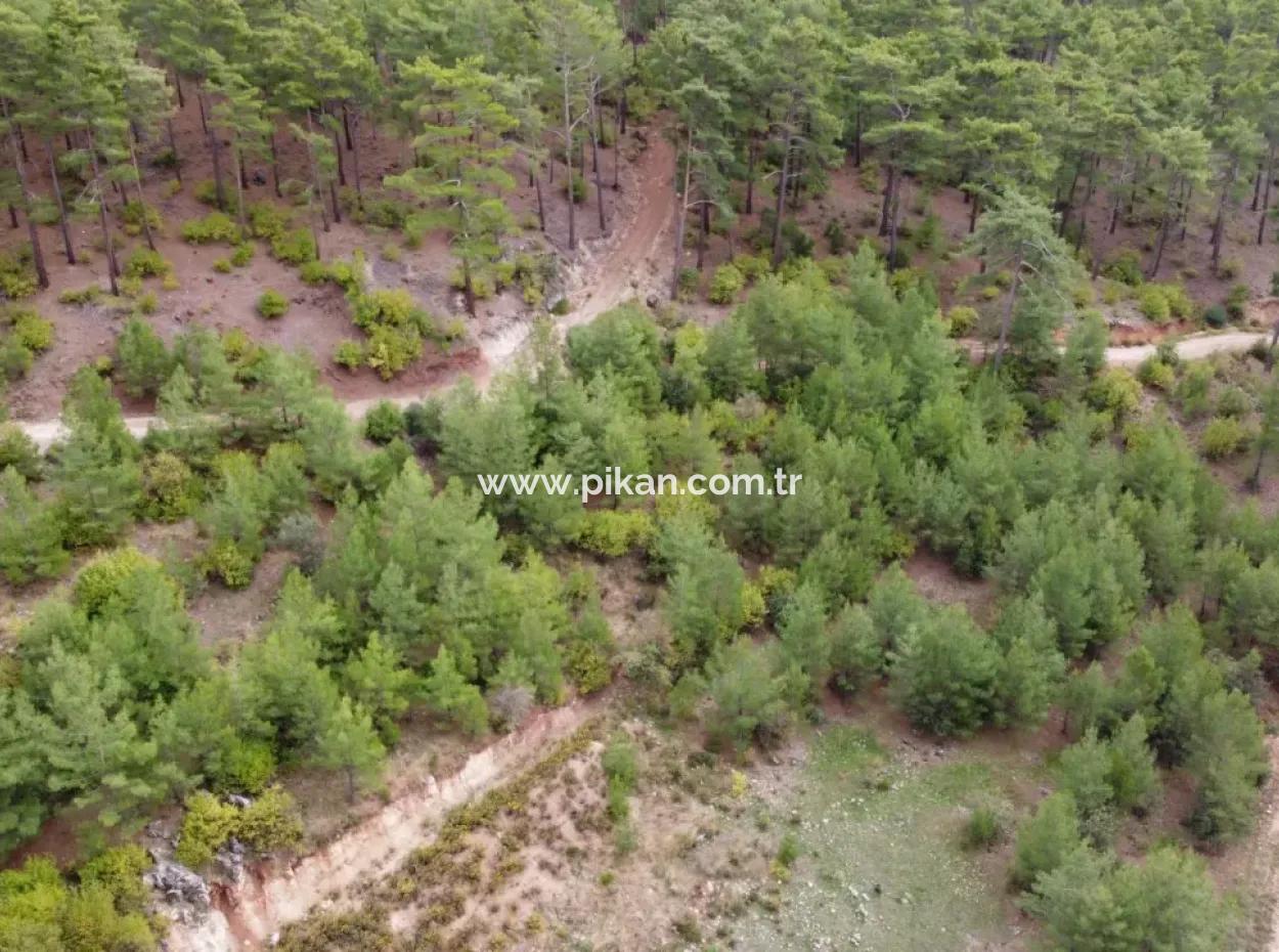Fethiye Kızılbelde 523 M2 20% Schnäppchen Wohngrundstück Zum Verkauf