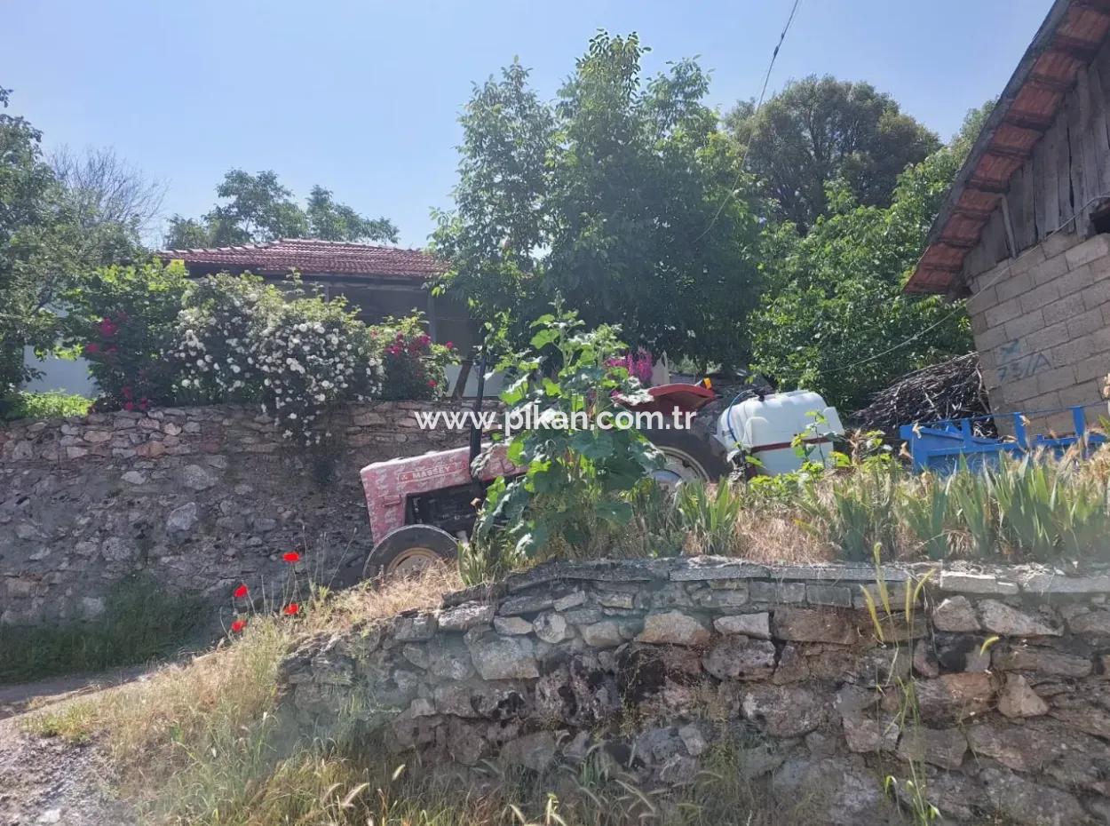 2500 M2 Freistehende 2 Häuser Und Scheunen, Lager Zum Verkauf In Çameli Kızılyaka