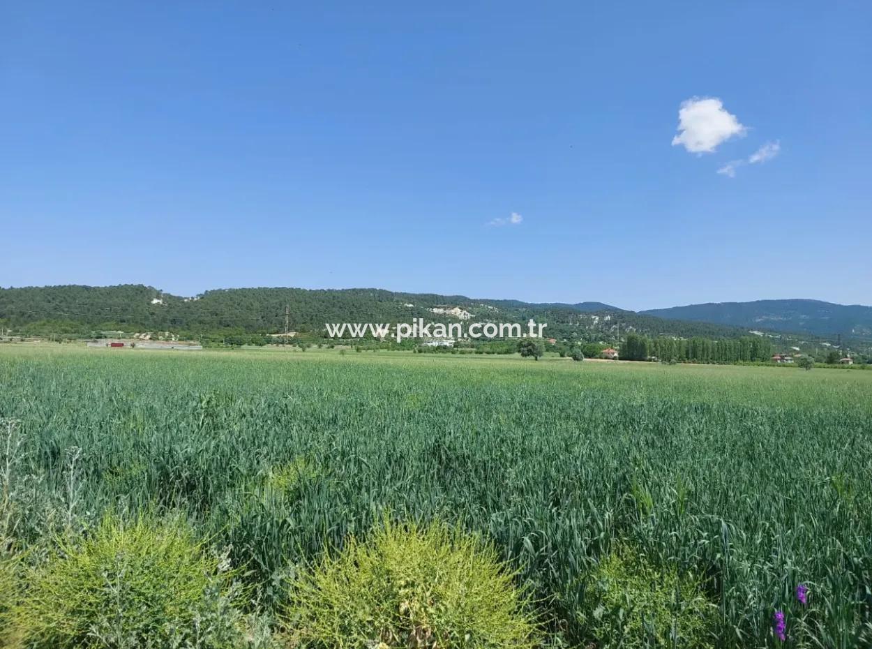 Schnäppchengrundstück Zum Verkauf In Çameli Bıçakçı – 5.333 M² Freistehende Eigentumsurkunde