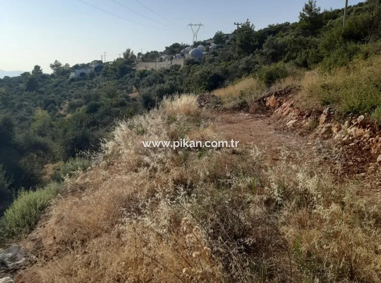 12 300 M2 Land Geeignet Für Investitionen Zum Verkauf In Antalya Kaş Kalkan Islam