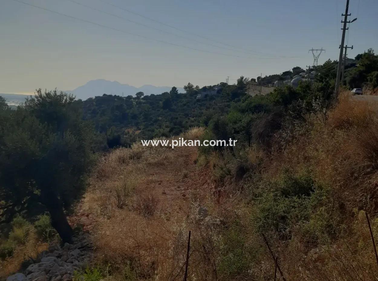 12 300 M2 Land Geeignet Für Investitionen Zum Verkauf In Antalya Kaş Kalkan Islam