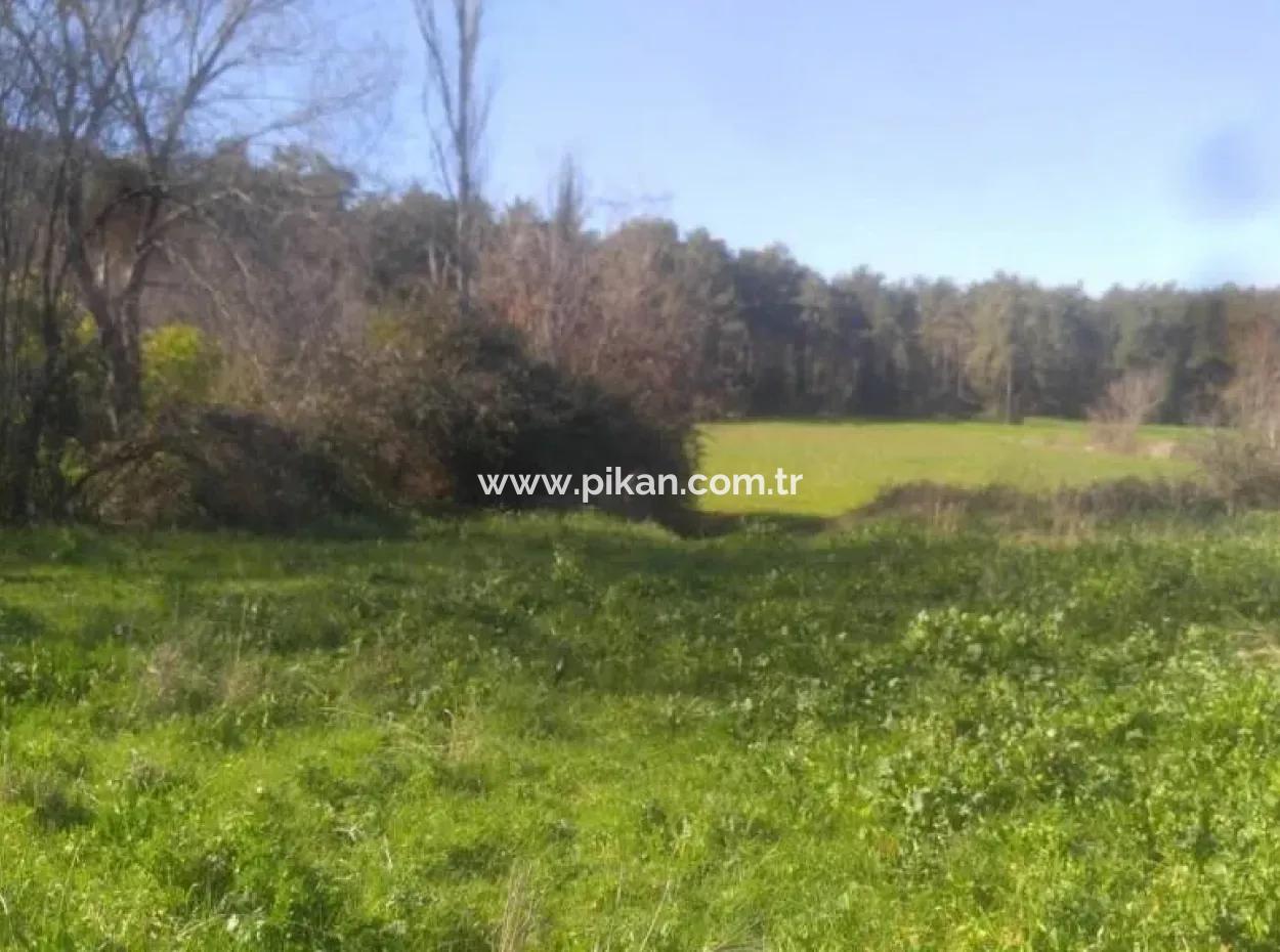 Land Zum Verkauf In Bargain Detached Zeytinalani