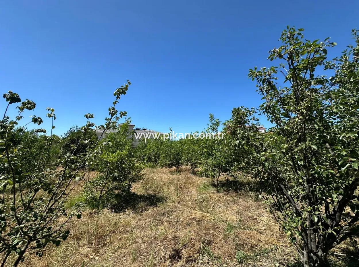 650 M2 30% Zoniertes Grundstück Zum Verkauf In Ortaca Center