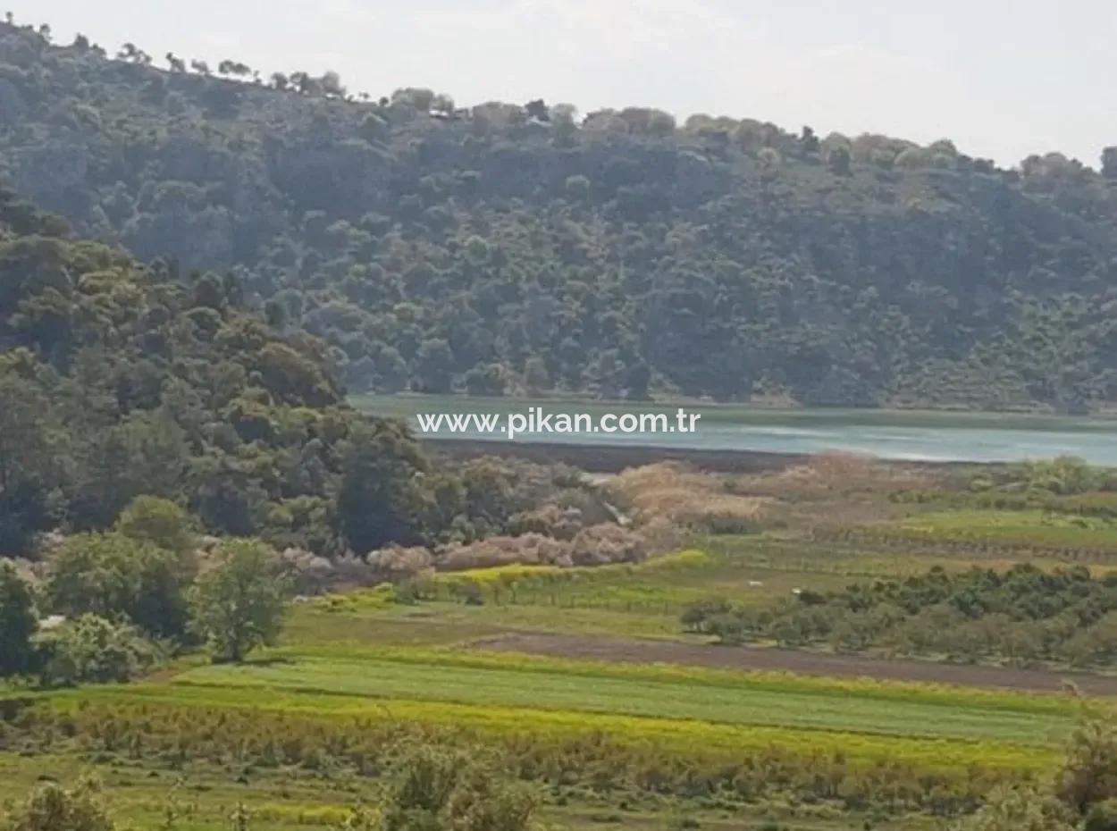 Lake-Zero Treasury Land In Muğla Dalaman Kapıkargın – Besitz Wird Übertragen 