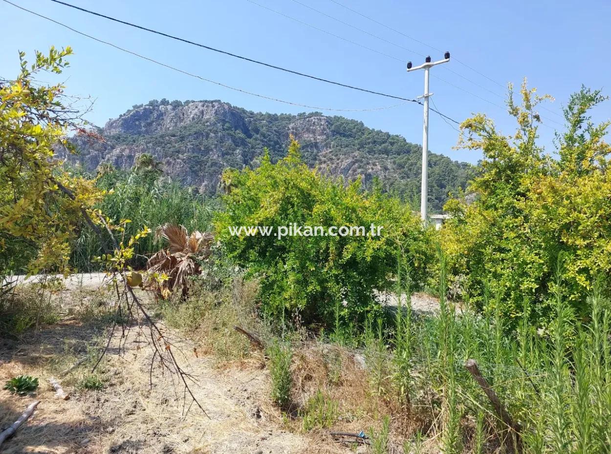 2.800 M² Grundstück Zum Verkauf In Dalyan, Muğla, In Der Nähe Des Dalyan-Kanals