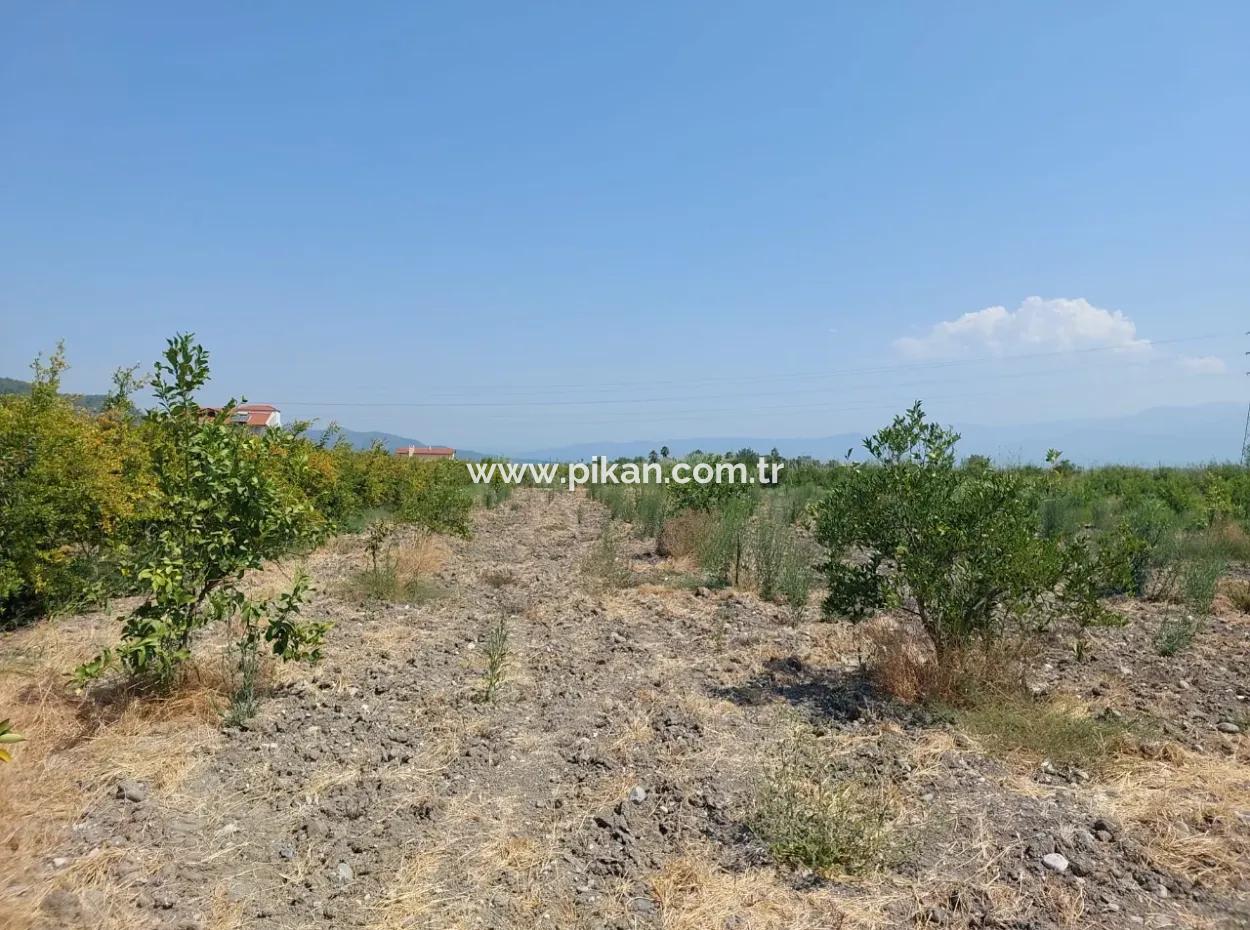 2.800 M² Grundstück Zum Verkauf In Dalyan, Muğla, In Der Nähe Des Dalyan-Kanals