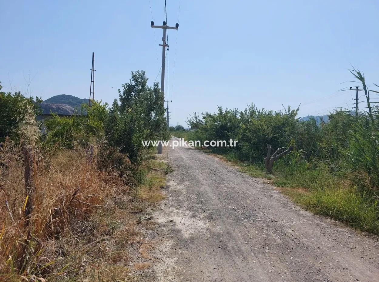 2.800 M² Grundstück Zum Verkauf In Dalyan, Muğla, In Der Nähe Des Dalyan-Kanals