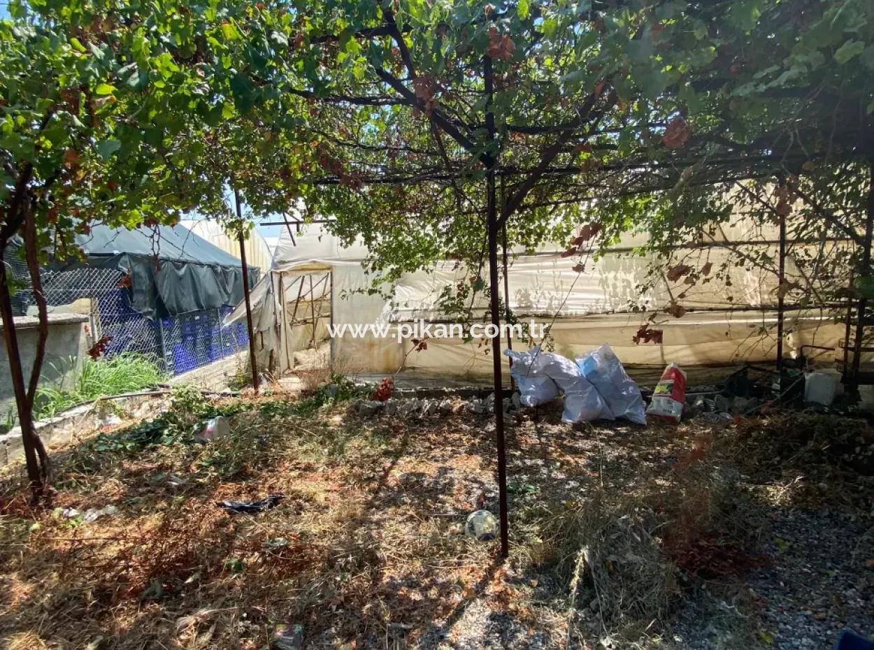Einfamilienhaus Und Gewächshaus Zum Verkauf Auf Einem 5200 M2 Großen Feld In Ortaca Eskiköy