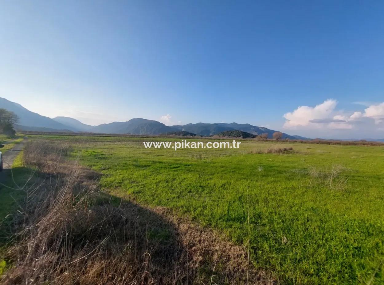 14.500 M² Fruchtbares Land In Ortaca Güzelyurt Zur Langzeitmiete – Geeignet Für Die Tierhaltung