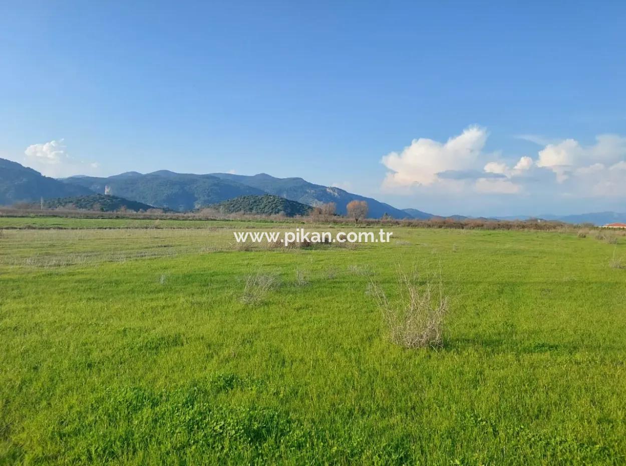 14.500 M² Fruchtbares Land In Ortaca Güzelyurt Zur Langzeitmiete – Geeignet Für Die Tierhaltung