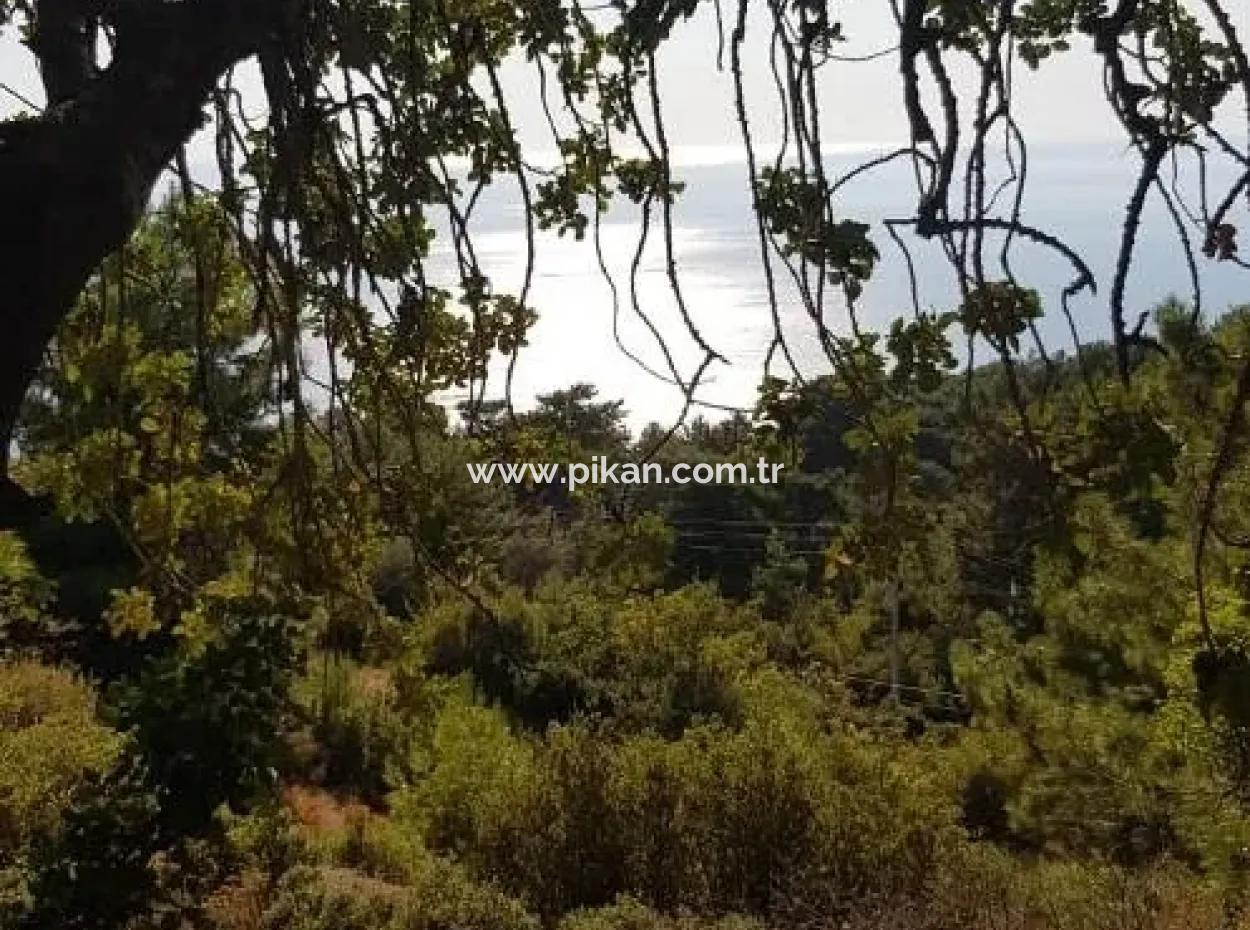 Tourismus-Zonen Grundstücke Zum Verkauf In Fethiye Mit Meerblick Faralya