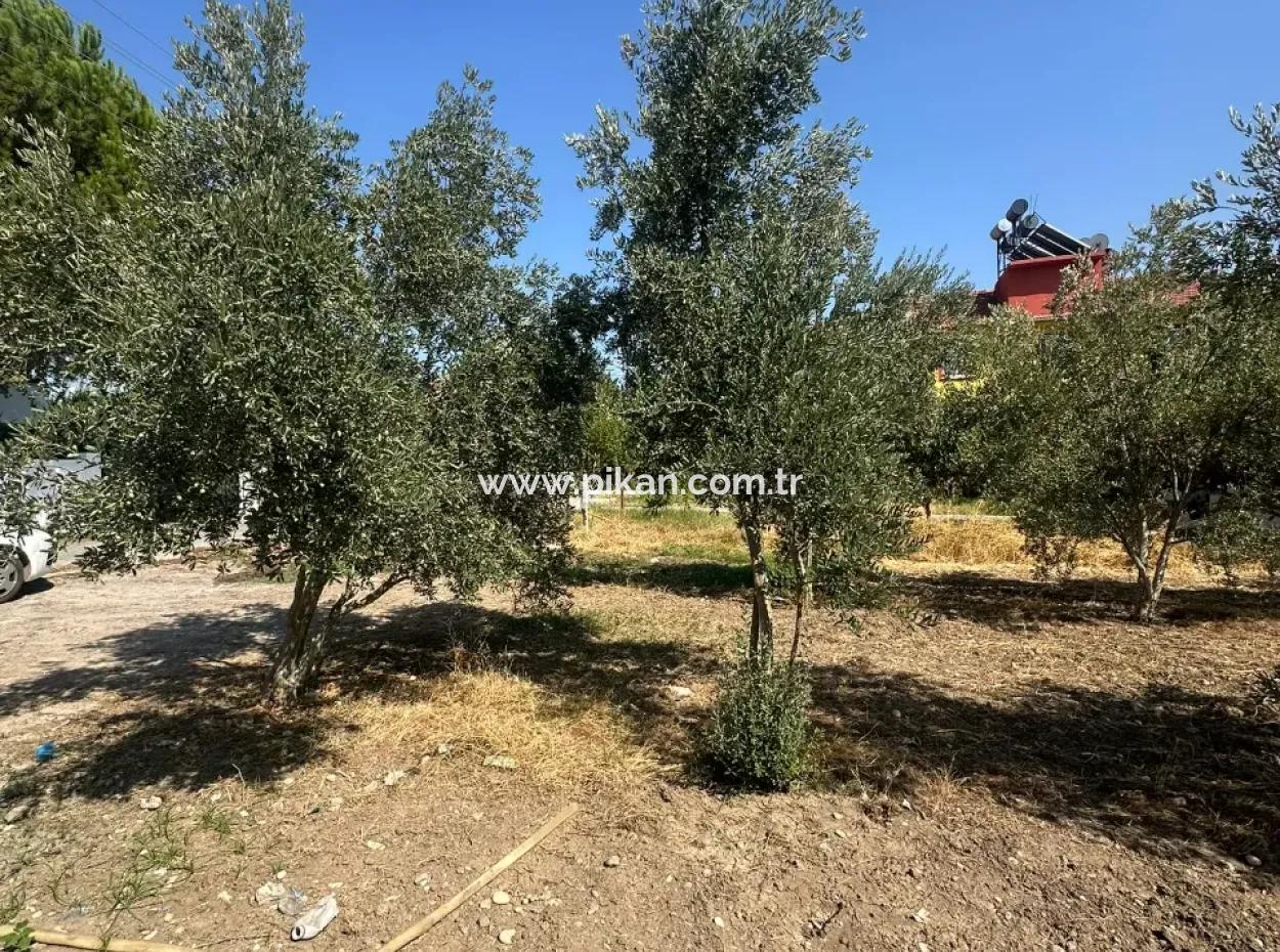 538 M² Grundstück Zum Verkauf In Ortaca Ekşiliyurt – Baugenehmigung Für 250 M²