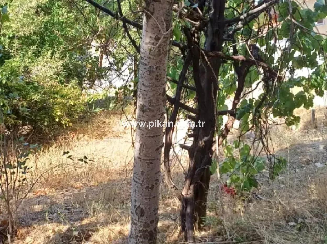 2-Stöckiges Steinhaus Zum Verkauf Auf 750 M² Land In Denizli Çameli Gökçeyaka