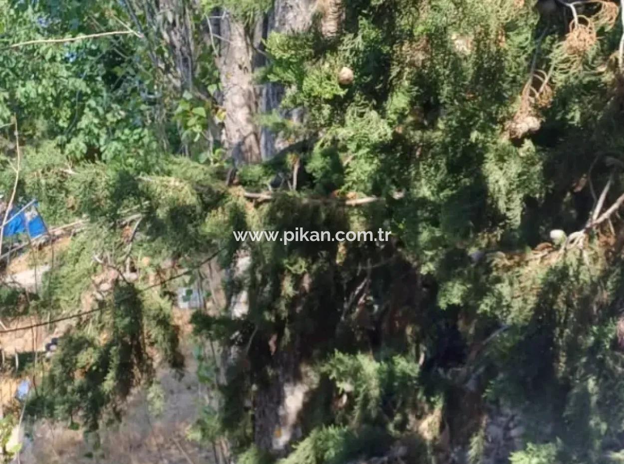 2-Stöckiges Steinhaus Zum Verkauf Auf 750 M² Land In Denizli Çameli Gökçeyaka