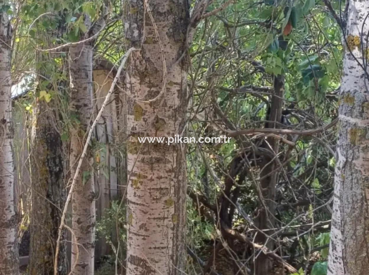 2-Stöckiges Steinhaus Zum Verkauf Auf 750 M² Land In Denizli Çameli Gökçeyaka