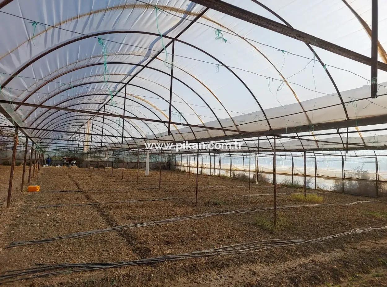 5.850 M² Seeblick Grundstück Und Dorfhaus Zum Verkauf In Ortaca Eskiköy