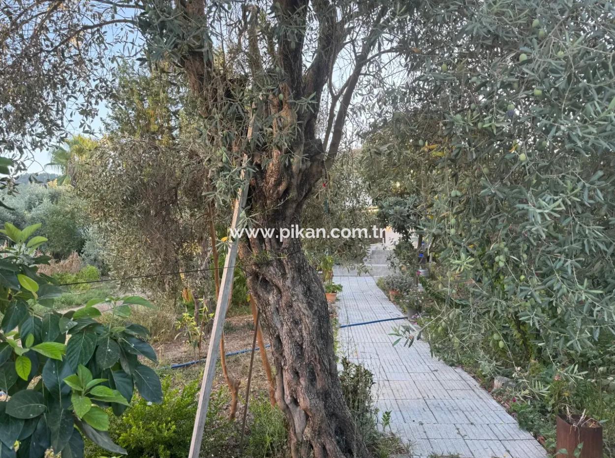 Muğla, Ortaca, Okçularda Gute Lage 650 M2 Wohngebiet Grundstück Zum Verkauf