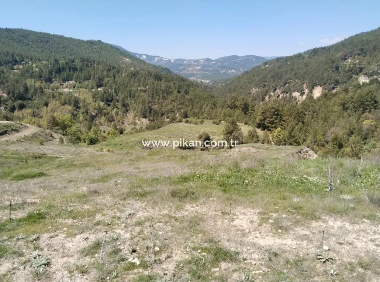 Çameli Kolakta Schnäppchen 20 000 M2 Freistehende Eigentumsurkunde Land Steht Zum Verkauf Oder Tausch.