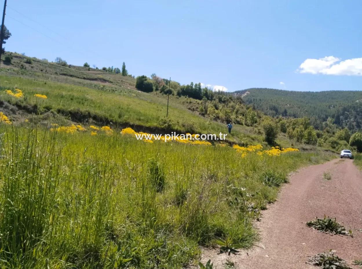 Çameli Kolakta Schnäppchen 20 000 M2 Freistehende Eigentumsurkunde Land Steht Zum Verkauf Oder Tausch.