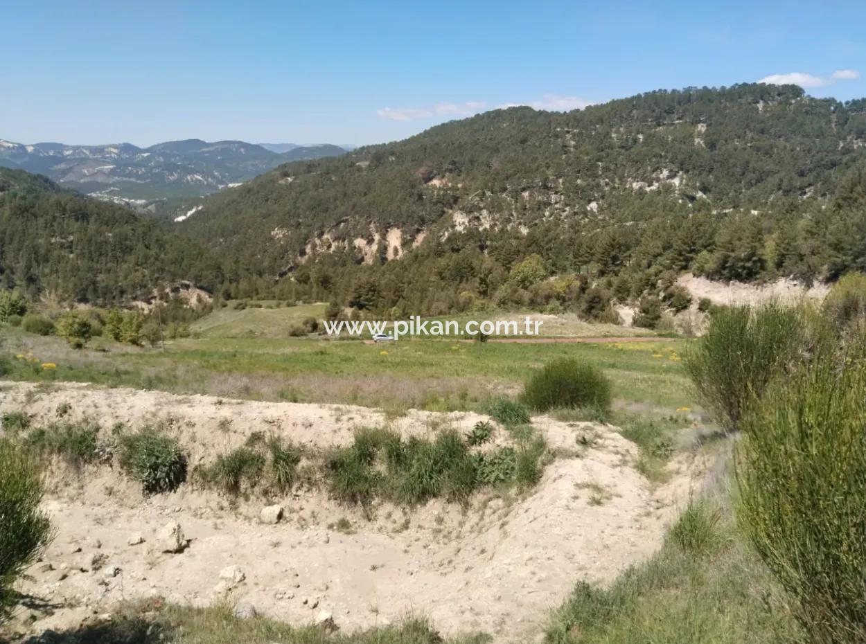 Çameli Kolakta Schnäppchen 20 000 M2 Freistehende Eigentumsurkunde Land Steht Zum Verkauf Oder Tausch.