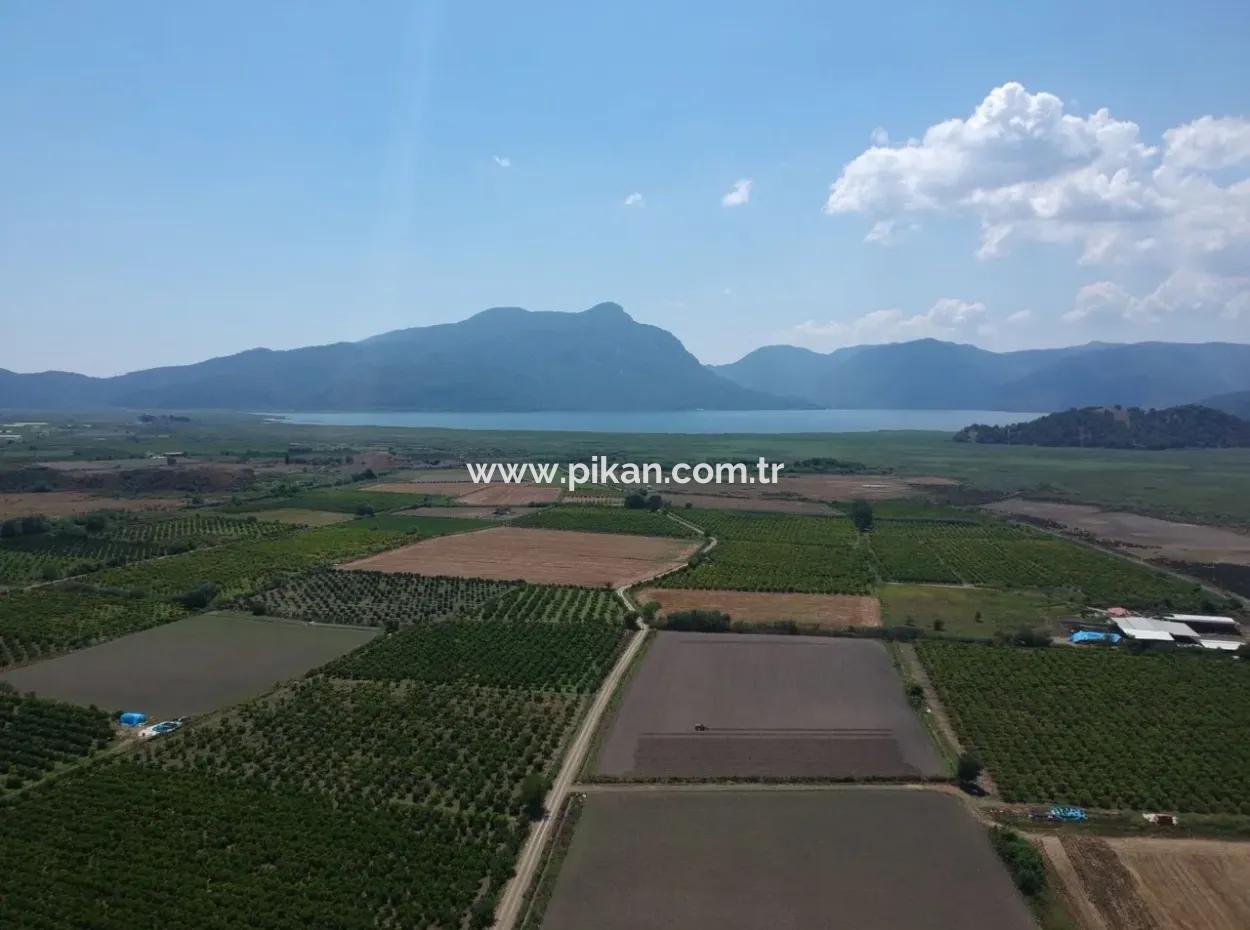 Tepearasi Oriya Schnäppchen Zwischen 13 700 M2 Land For Sale