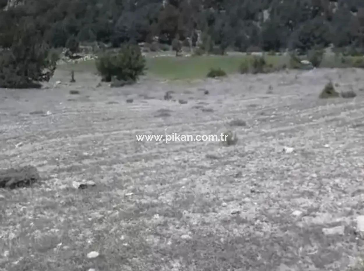 1770 M2 Feld Zum Verkauf In Çameli Ayvacık