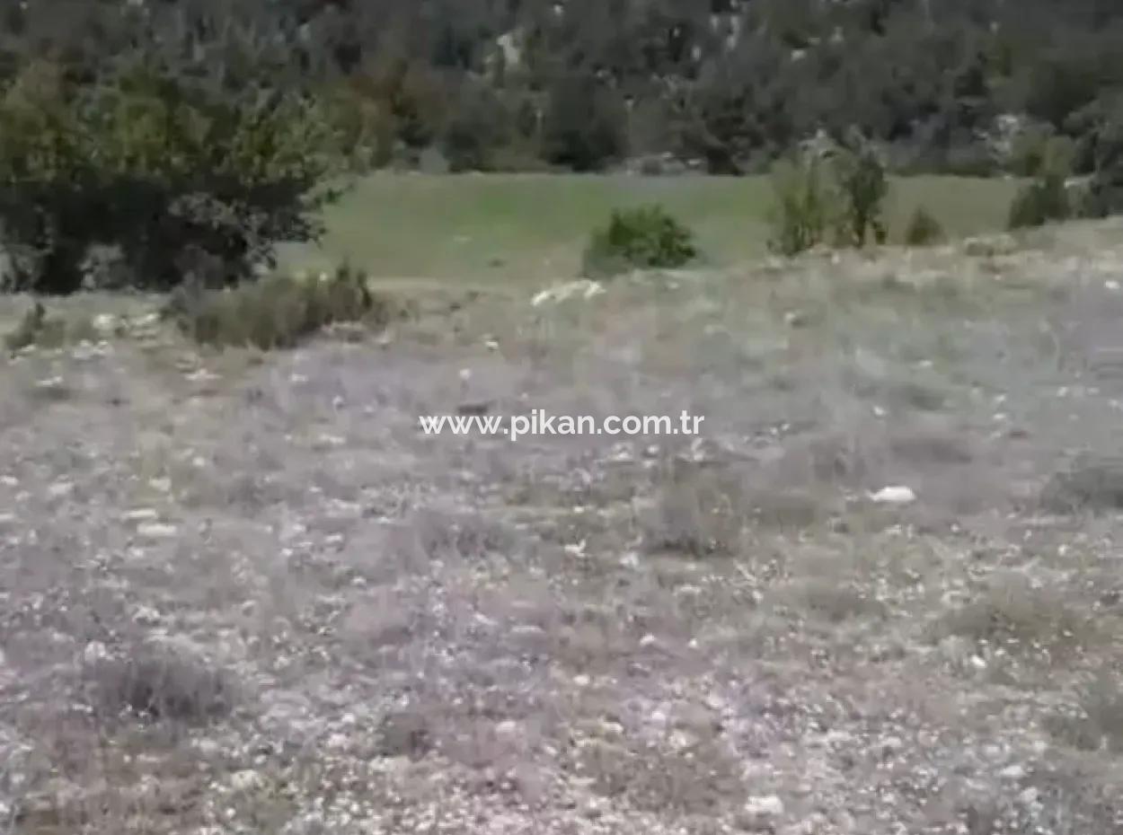 2030 M2 Feld Zum Verkauf In Çameli Ayvacık
