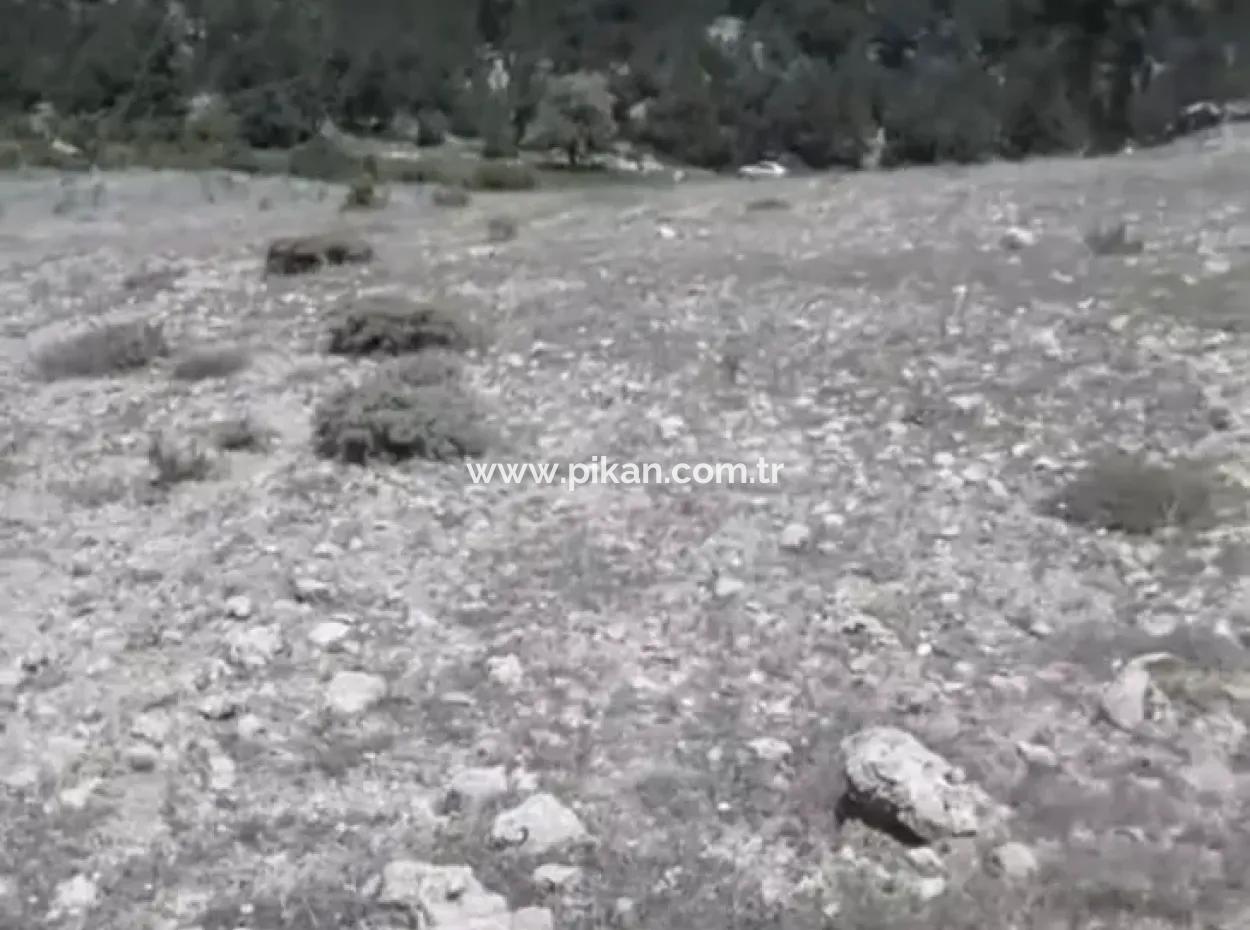 2030 M2 Feld Zum Verkauf In Çameli Ayvacık