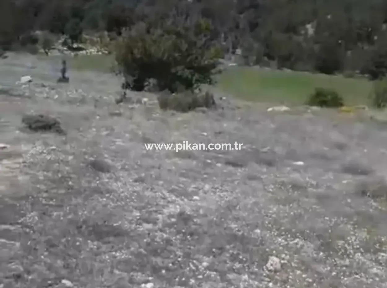 2030 M2 Feld Zum Verkauf In Çameli Ayvacık