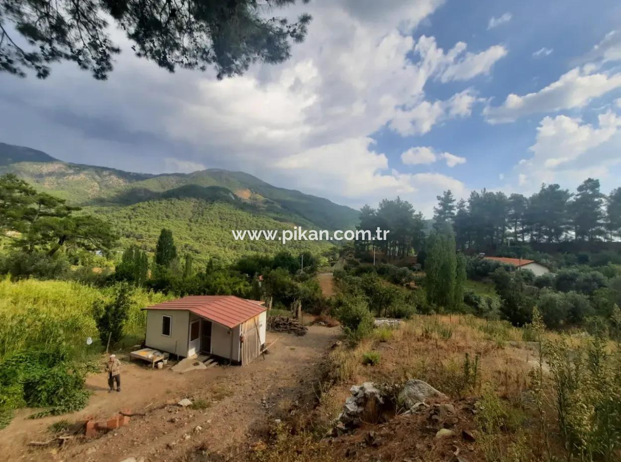 Muğla Köyceğiz Ağla - 535 M2 Grundstück Und Tiny House Haus Zum Verkauf Auf Dem Plateau