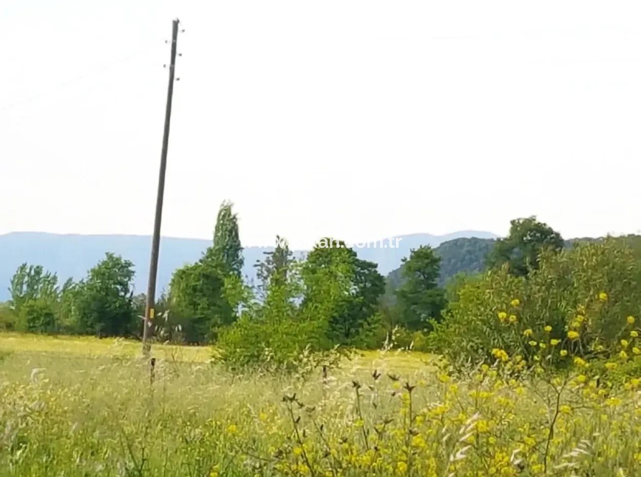 Eck-Grundstück Zum Verkauf In Archer