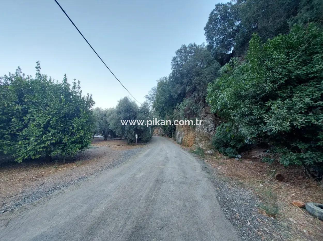 1.300 M2 Freistehendes 250M2 Wohngrundstück Zum Verkauf In Muğla, Ortaca, Karadonlar