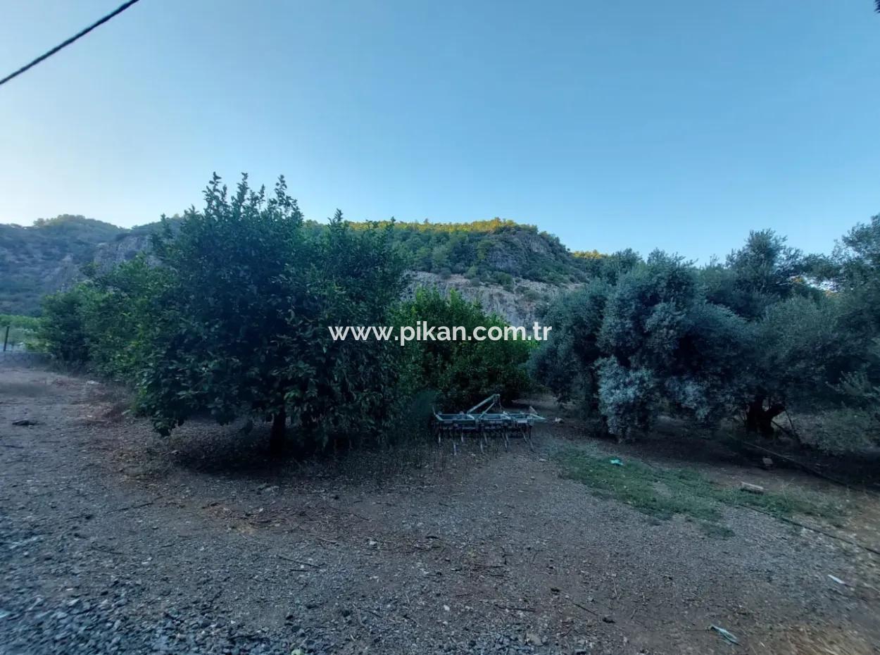 1.300 M2 Freistehendes 250M2 Wohngrundstück Zum Verkauf In Muğla, Ortaca, Karadonlar