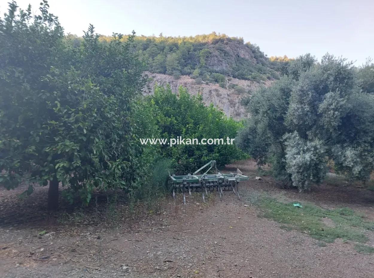 1.300 M2 Freistehendes 250M2 Wohngrundstück Zum Verkauf In Muğla, Ortaca, Karadonlar
