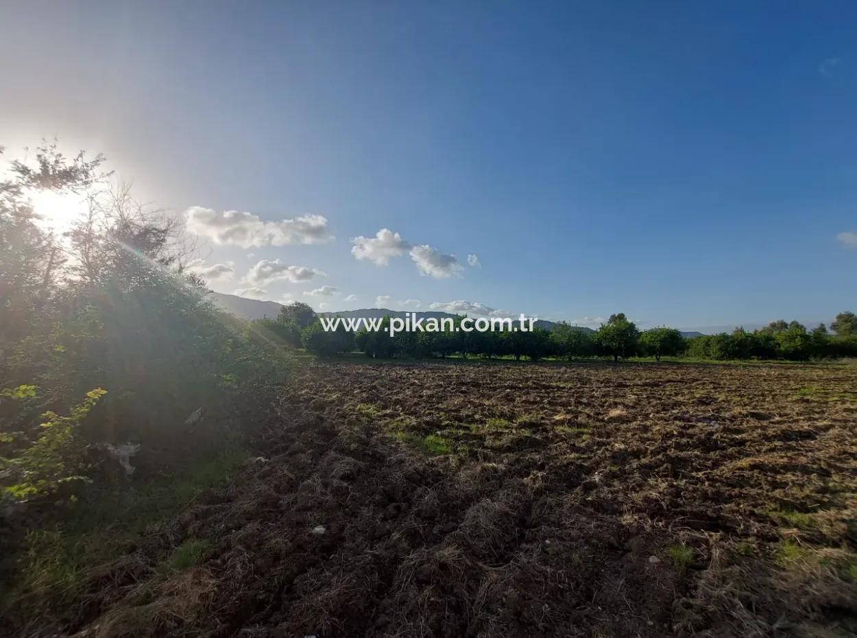 Muğla Ortaca, Dalaklı 2.000 M2, 400 M2 Wohngrundstück Zum Verkauf Mit Baurecht