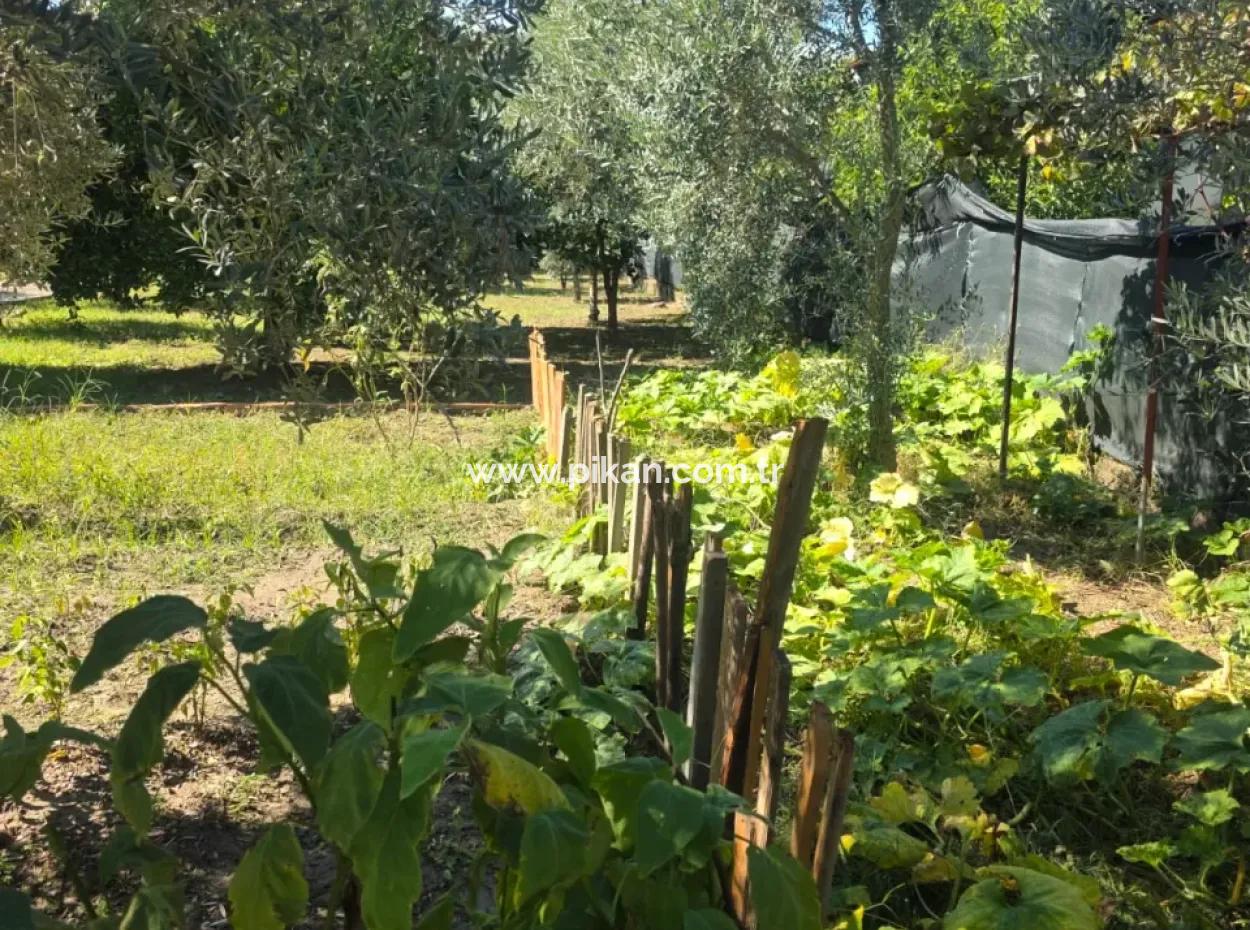 2 1, 70 M2 Dorfhaus Zum Verkauf Auf 902 M2 Land Null Zur Ortaca Akıncı Sarıgerme Road