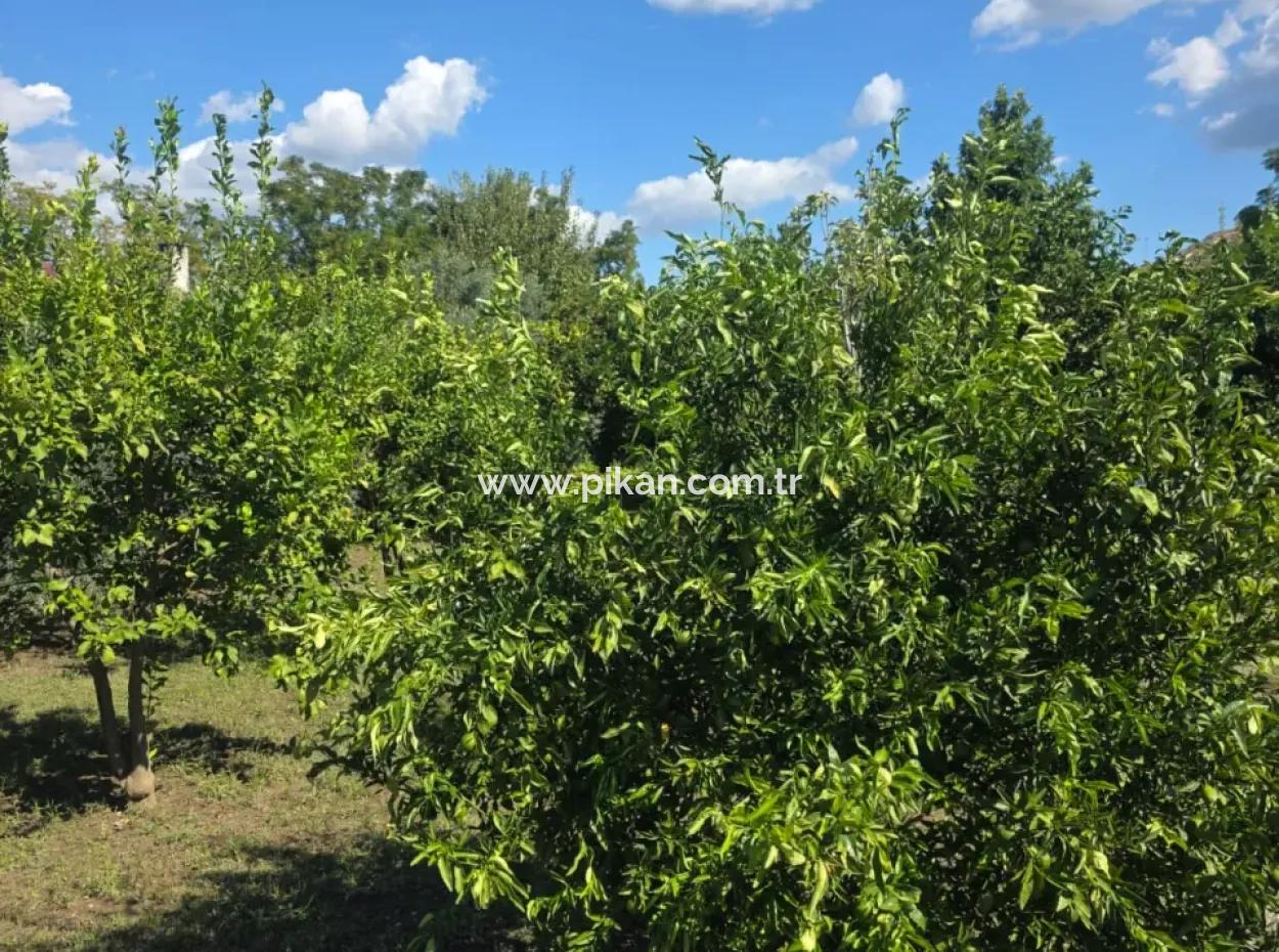 2 1, 70 M2 Dorfhaus Zum Verkauf Auf 902 M2 Land Null Zur Ortaca Akıncı Sarıgerme Road