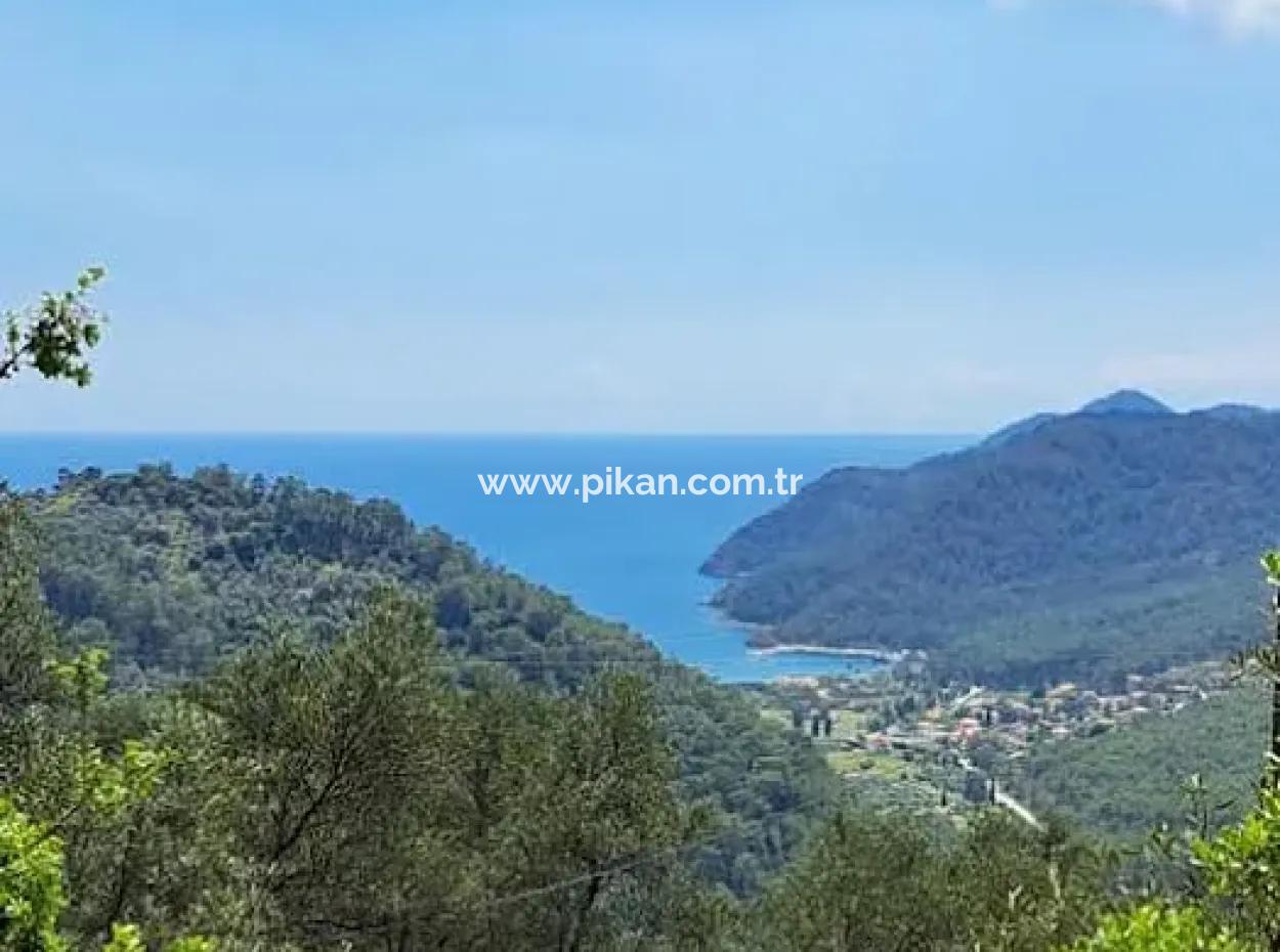 720 M² Olivenhain Mit Meerblick Zum Verkauf In Köyceğiz Ekincik, Muğla
