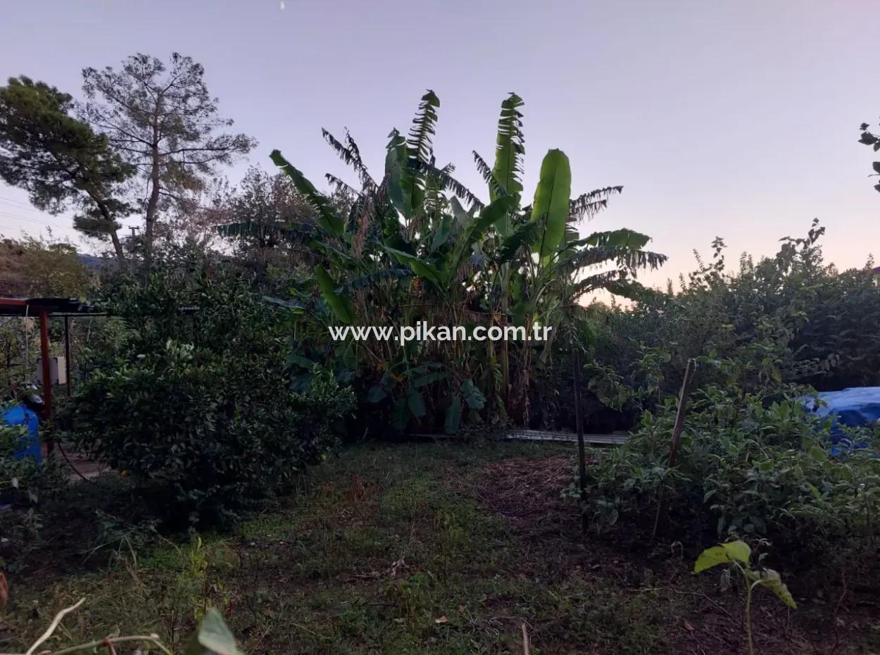 350 M2 Freistehendes Tiny House Geeignetes Grundstück Zum Verkauf In Ortaca Çaylı